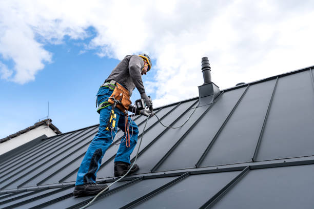 Best Gutter Replacement  in Waller, TX